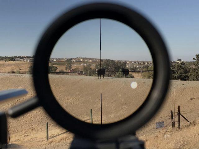 Optical sight