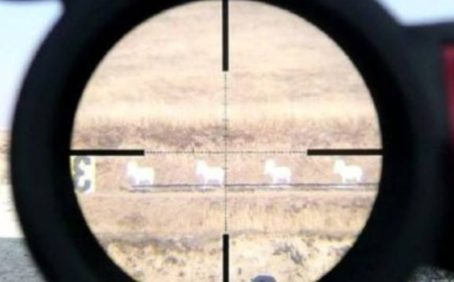 scope adjustment basics