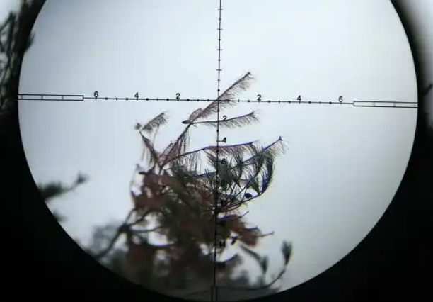 should red dot sight align with front sight
