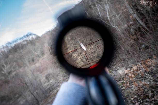 Optical sight on an air rifle